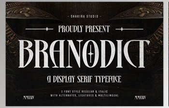 Download Branodict - Modern <span class='badge badge-warning'>Display</span> Serif (CreativeMarket 291291893)