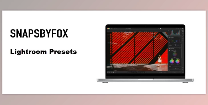 Snapsbyfox - Download Lightroom Presets