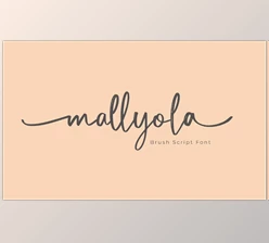 Download Mallyola Brush Script Font (Creativemarket 285971214)