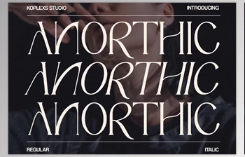Download Anorthic - Modern <span class='badge badge-warning'>Serif</span> <span class='badge badge-warning'>Font</span> (<span class='badge badge-warning'>Creativemarket</span> 92173302)