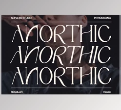 Download Anorthic - Modern Serif Font (Creativemarket 92173302)