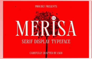 Download CS Merisa – Classic <span class='badge badge-warning'>Font</span> (CreativeMarket 291134331)