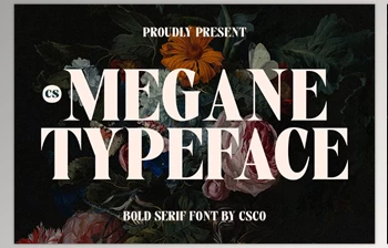 Download CS Megane – Bold <span class='badge badge-warning'>Font</span> (CreativeMarket 291134229)