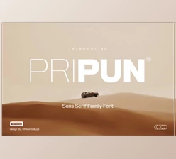 Download Pripun - San Serif Family (CreativeMarket 291336687)