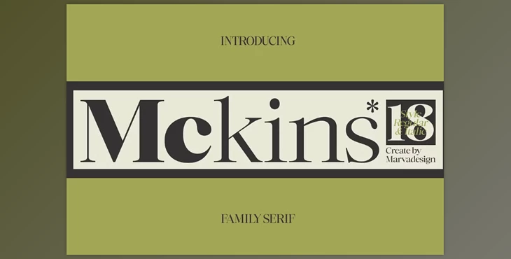 Download Mckins - Family Serif Font (CreativeMarket 291343174)