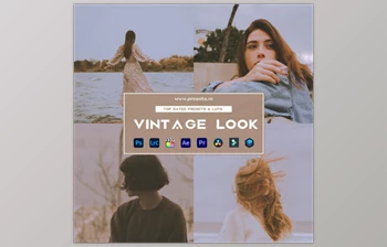 Presets.io - Download <span class='badge badge-warning'>Vintage</span> Look Preset <span class='badge badge-warning'>Collection</span>
