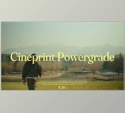 Gumroad - Download Roninxvi - Cineprint Powergrade