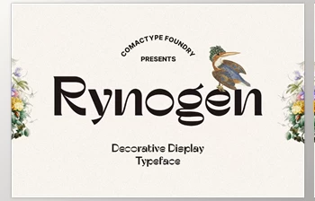Download Rynogen - Decorative Typeface (<span class='badge badge-warning'>CreativeMarket</span> 291235288)