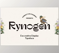 Download Rynogen - Decorative Typeface (CreativeMarket 291235288)
