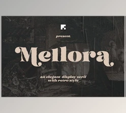 Download Mellora - Display Serif (CreativeMarket 291177564)