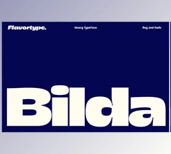 Download Bilda (CreativeMarket 291009839)