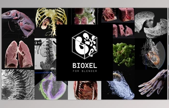 <span class='badge badge-warning'>Blender</span> - Download Bioxel Nodes v2.0.0