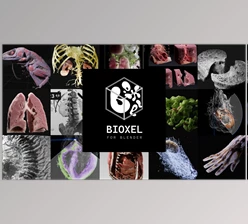 Blender - Download Bioxel Nodes v2.0.0