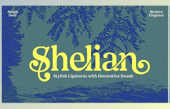 Download Shelian Typeface (<span class='badge badge-warning'>CreativeMarket</span> 291371554)