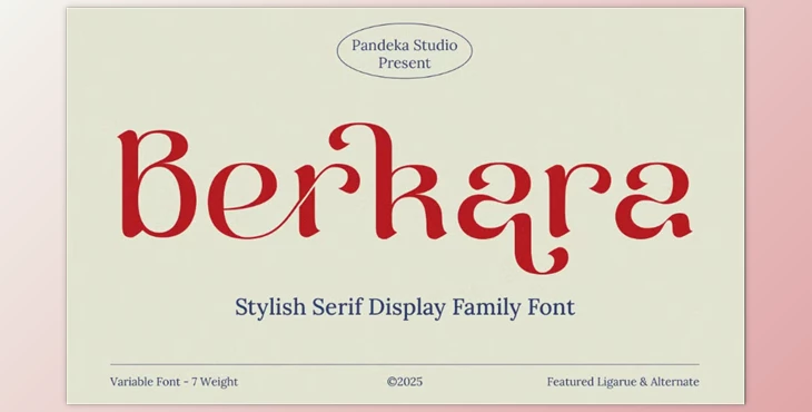 Download Berkara - Stylish Serif Display (CreativeMarket 291339675)