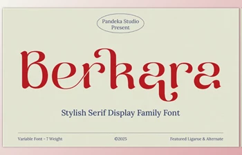 Download Berkara - Stylish Serif <span class='badge badge-warning'>Display</span> (CreativeMarket 291339675)