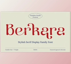 Download Berkara - Stylish Serif Display (CreativeMarket 291339675)
