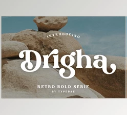 Download Drigha - Stylish Serif Font (CreativeMarket 291232444)