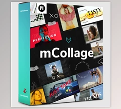 MotionVFX - Download mCollage DVR