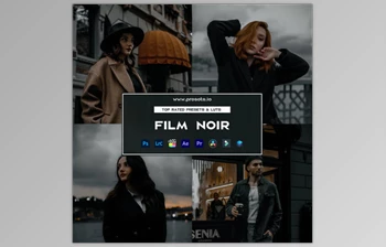 Presets.io - Download Film Noir <span class='badge badge-warning'>Preset</span> <span class='badge badge-warning'>Collection</span>