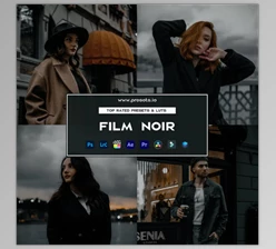 Presets.io - Download Film Noir Preset Collection