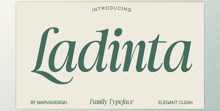 Download Ladinta - Family Serif Font (CreativeMarket 291256536)