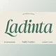 Download Ladinta - Family Serif Font (CreativeMarket 291256536)