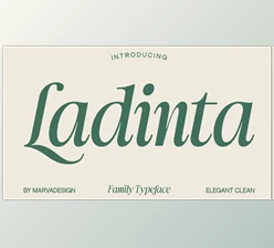 Download Ladinta - Family Serif Font (CreativeMarket 291256536)