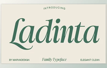 Download Ladinta - Family <span class='badge badge-warning'>Serif</span> <span class='badge badge-warning'>Font</span> (<span class='badge badge-warning'>CreativeMarket</span> 291256536)