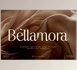 Download Bellamora - Aesthetic Script Font (CreativeMarket 291372974)