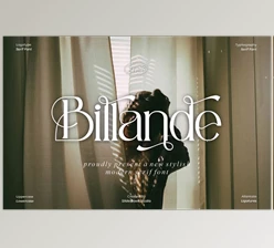Download Billande Stylish Serif Font (CreativeMarket 291434703)