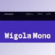 Download Wigola Mono - Monospace Family (CreativeMarket 290967319)