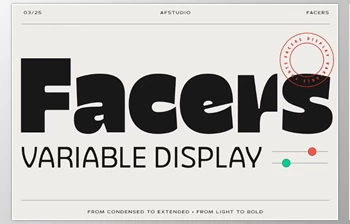 Download Facers Font Family (<span class='badge badge-warning'>CreativeMarket</span> 291444015)