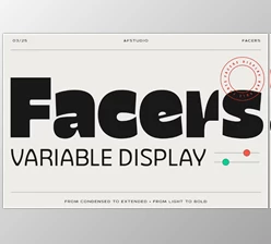 Download Facers Font Family (CreativeMarket 291444015)