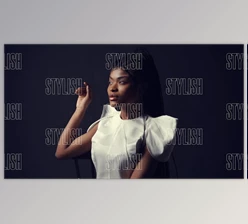 Download Slideshow Stylish Intro (Videohive 52659234) - AE Project