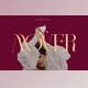 Download Mover Modern Ligature Serif (Creative Market 291453809)