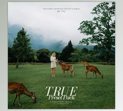 Itijarve - Download True Preset Pack