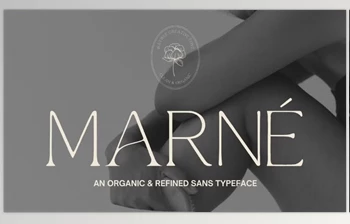 Download MARNÉ – Modern <span class='badge badge-warning'>Organic</span> Sans Serif (Creative Market 291476437)