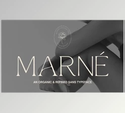 Download MARNÉ – Modern Organic Sans Serif (Creative Market 291476437)