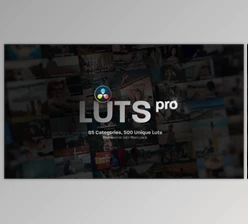 Download LUTs Pro: Professional Color Grading Pack with 500 LUTs For Davinci Resolve (Videohive 56582384)