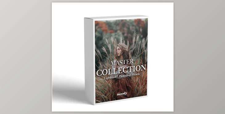 Moody Presets - Download Master Collection- Pack of 282 Presets