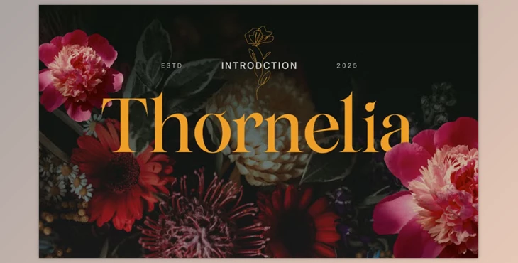 Download Thornelia Modern Gothic Serif Font (Creative Market 291491278)