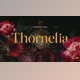 Download Thornelia Modern Gothic Serif Font (Creative Market 291491278)