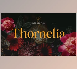 Download Thornelia Modern Gothic Serif Font (Creative Market 291491278)
