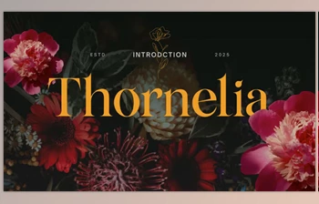 Download Thornelia Modern Gothic Serif <span class='badge badge-warning'>Font</span> (Creative Market 291491278)
