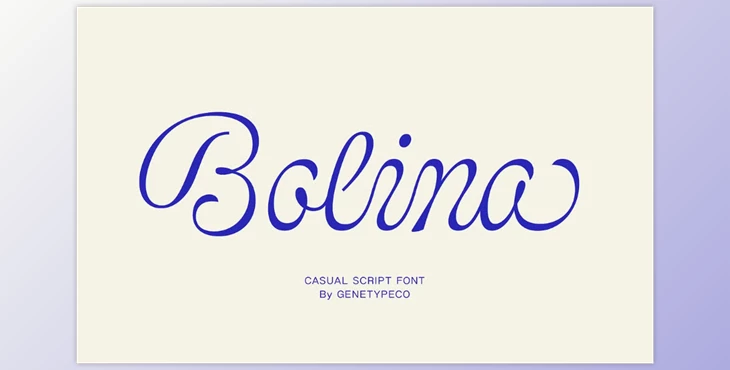Download Bolina Casual Script Font (CreativeMarket 291436128)