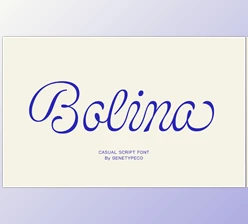 Download Bolina Casual Script Font (Creative Market 291436128)