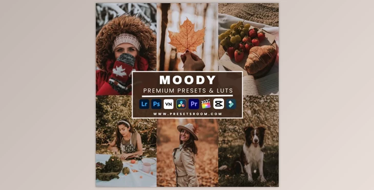 Presetsroom - Download Moody Lightroom Presets & Luts Collection