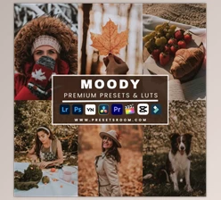 Presetsroom - Download Moody Lightroom Presets & Luts Collection