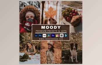 Presetsroom - Download Moody <span class='badge badge-warning'>Lightroom</span> Presets & Luts <span class='badge badge-warning'>Collection</span>